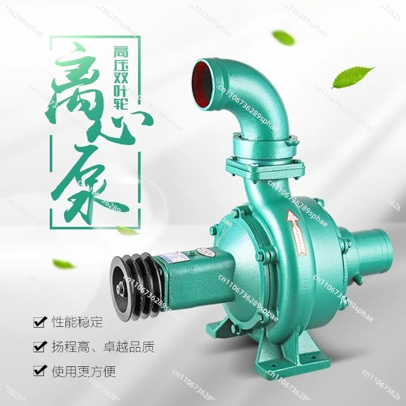 High Pressure High Head Large  - Diesel Water Pump recension och pris