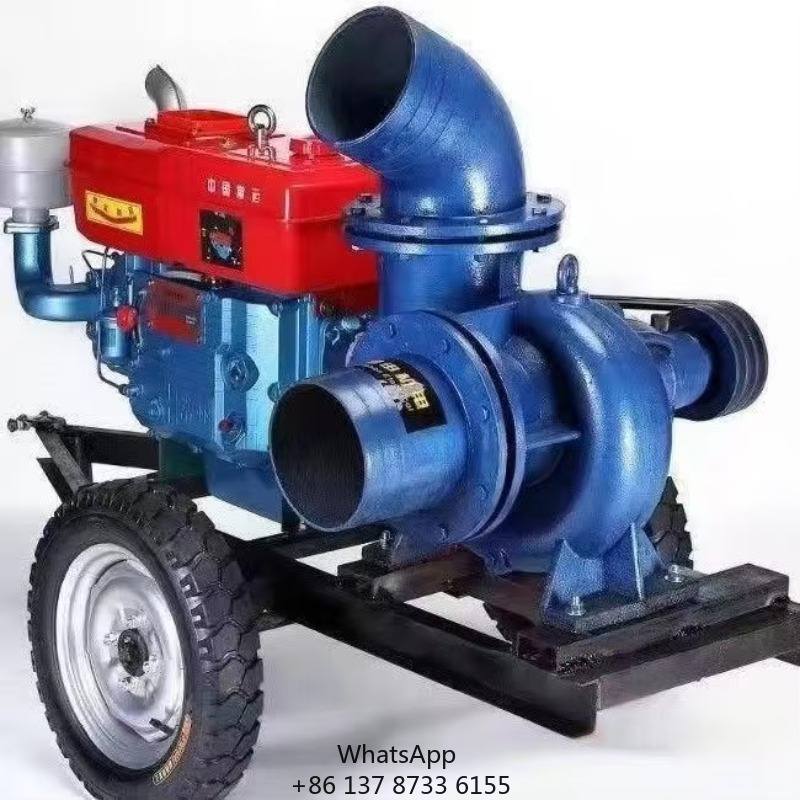 Customized Power Diesel Engine - Diesel Water Pump recension och pris