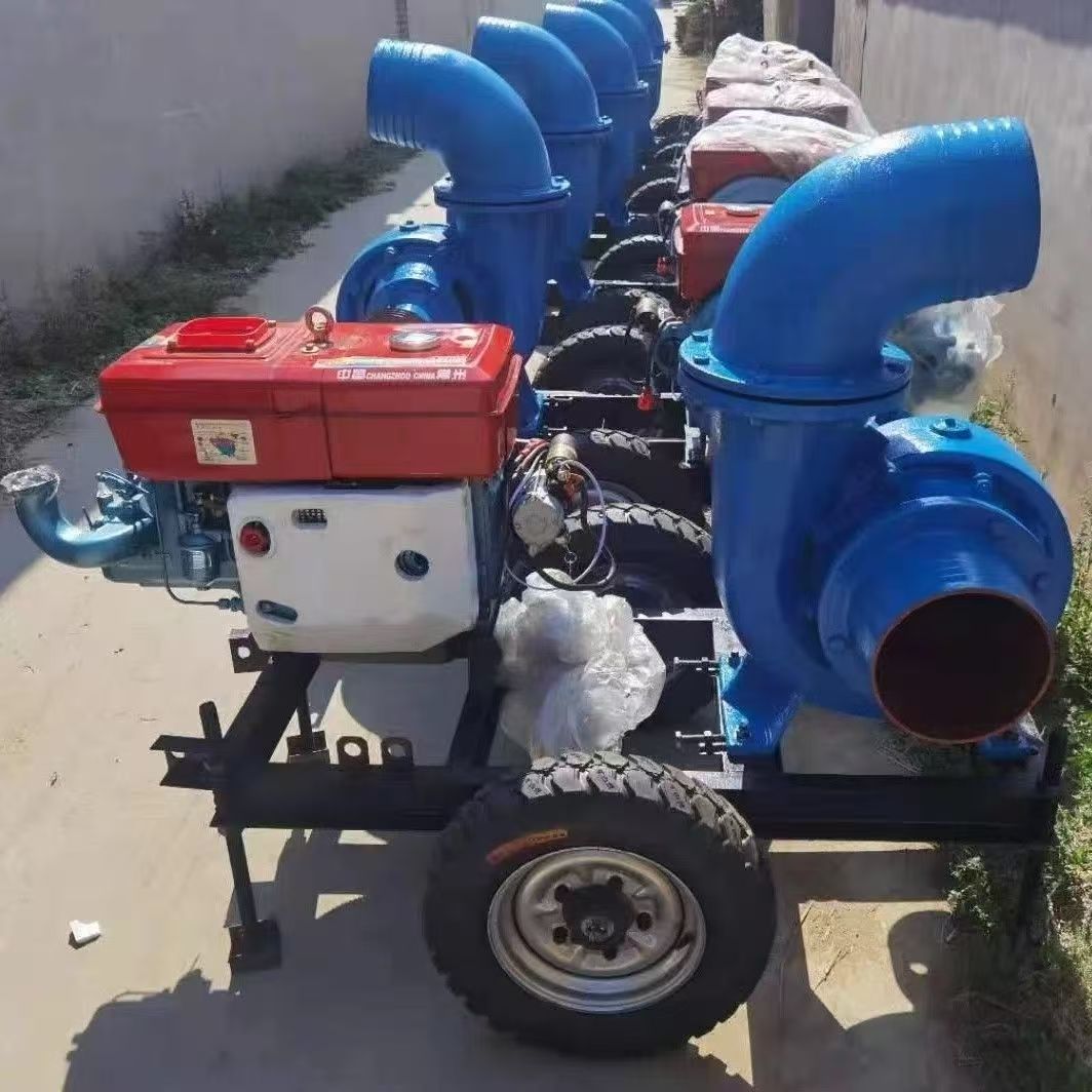Customized Power Diesel Engine - Diesel Water Pump recension och pris
